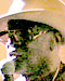 Billy Paul Größe