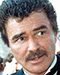 Schauspieler Burt Reynolds gestorben