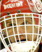 Dominik Hašek
