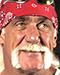 Hulk Hogan Größe