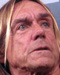 Iggy Pop