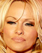 Pamela Anderson Größe