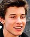 Shawn Mendes Größe