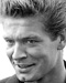 Stephen Boyd Größe