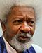 Wole Soyinka