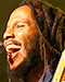 Ziggy Marley