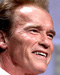 Arnold Schwarzenegger Portrait