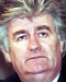 Radovan Karadžić Portrait