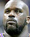 Shaquille O’Neal Portrait
